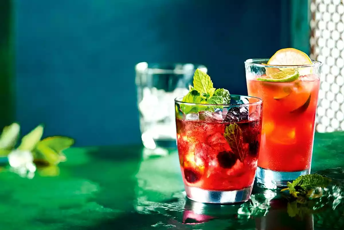 Blood Orange Mojito Recipe