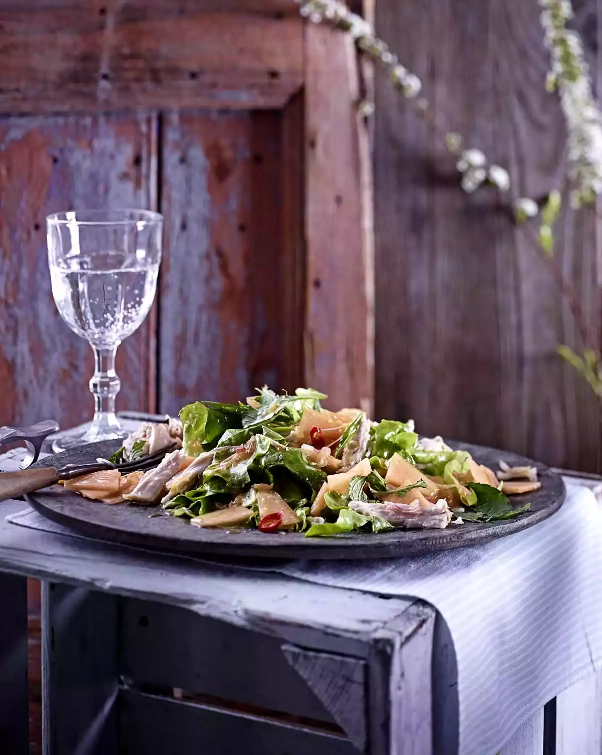 Cantaloupe Salad With Asian Chicken Recipe
