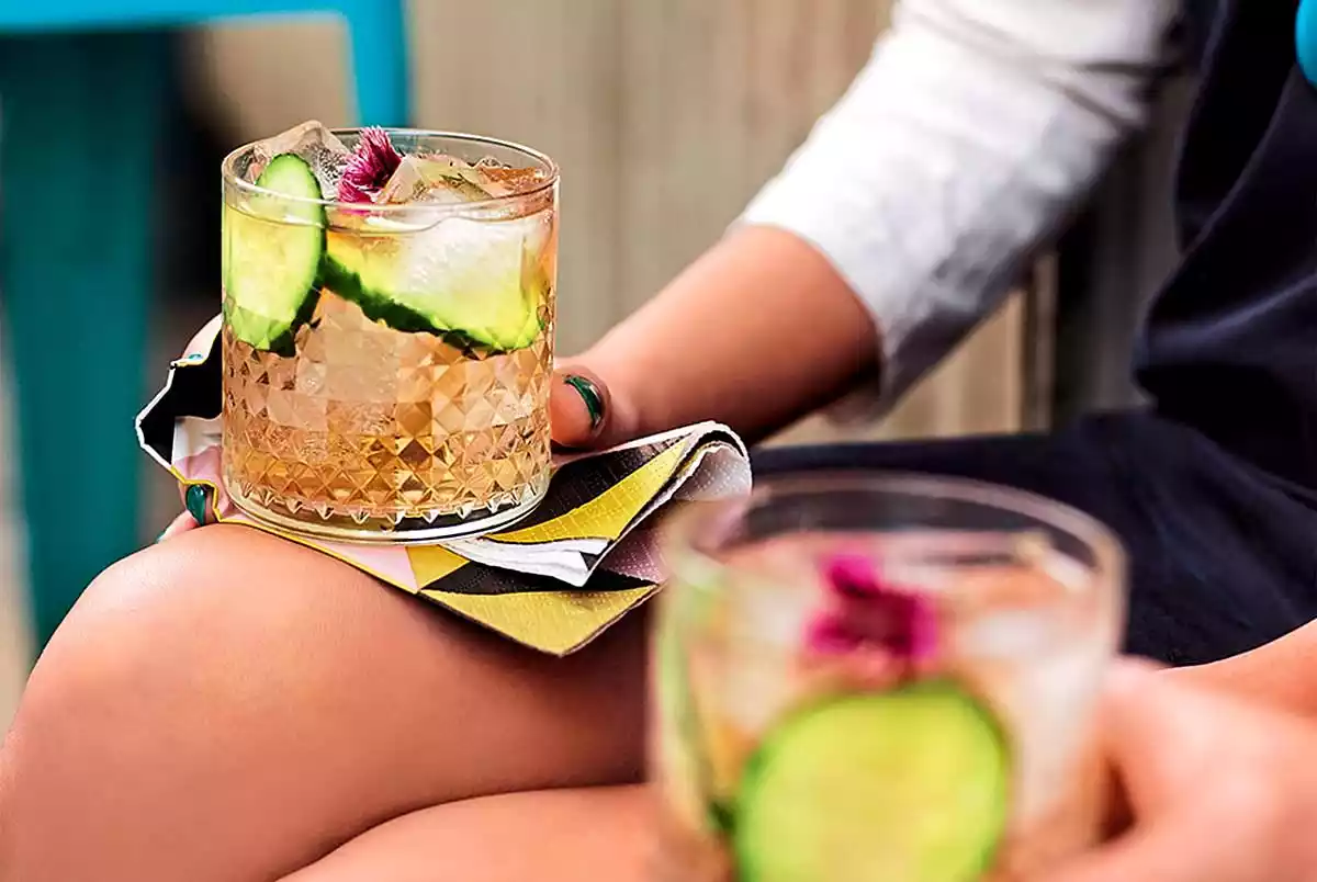 Elderberry Gin And Tonic Recipe