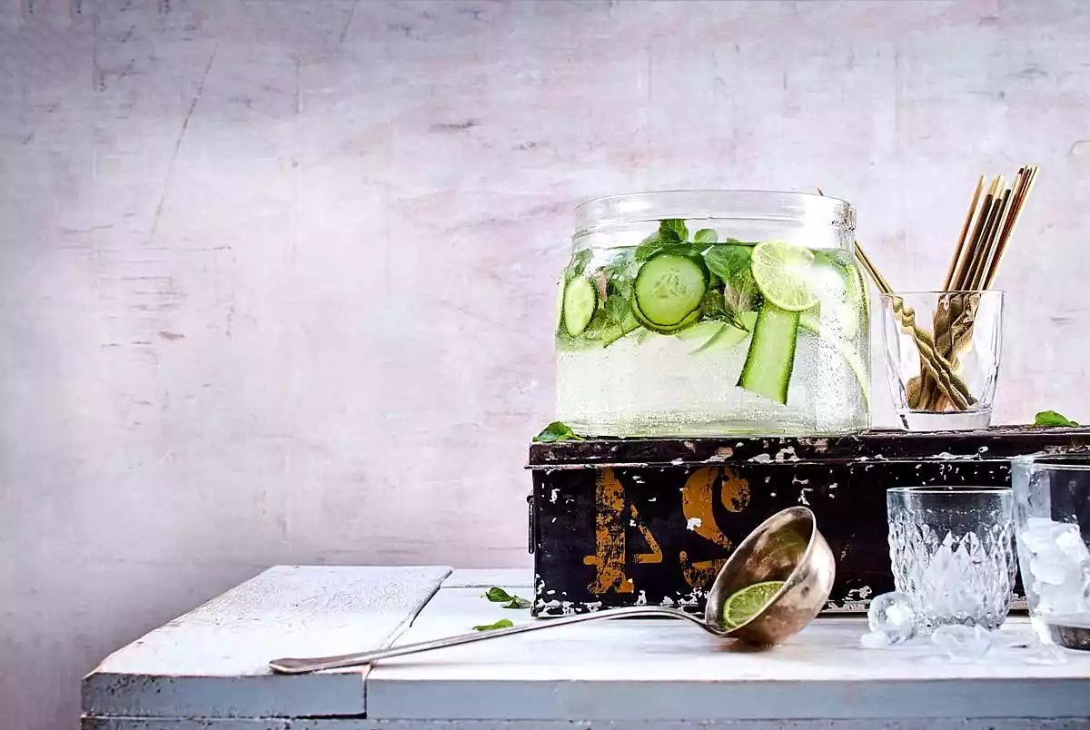 Gintastic Punch With Fresh Mint & Cucumber Recipe