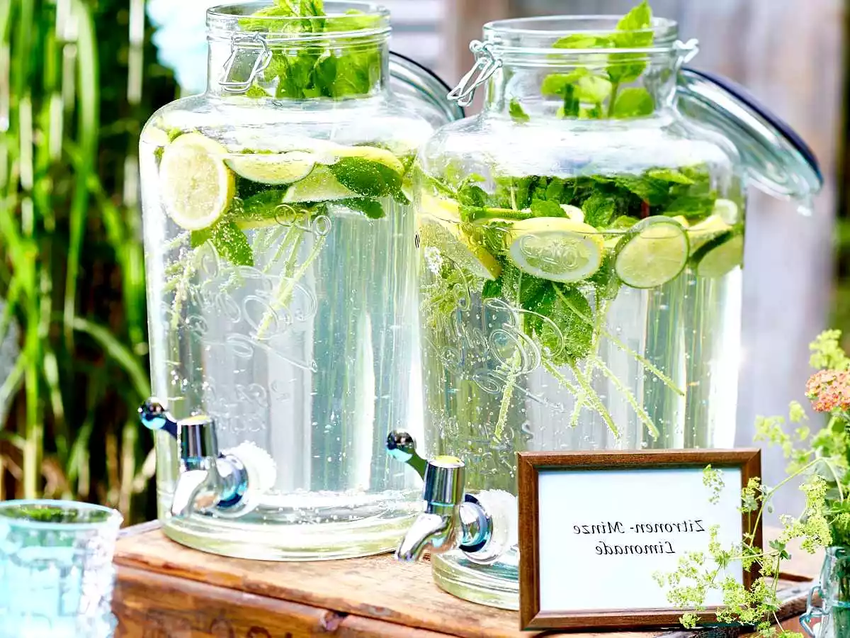 Mint And Citrus Lemonade Recipe